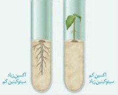 دریافت سوال 22