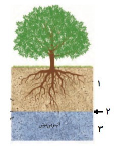 دریافت سوال 19