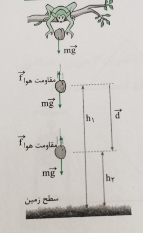 دریافت سوال 14