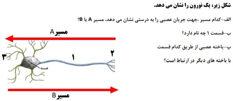 دریافت سوال 21