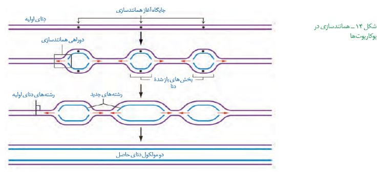 دریافت سوال 29