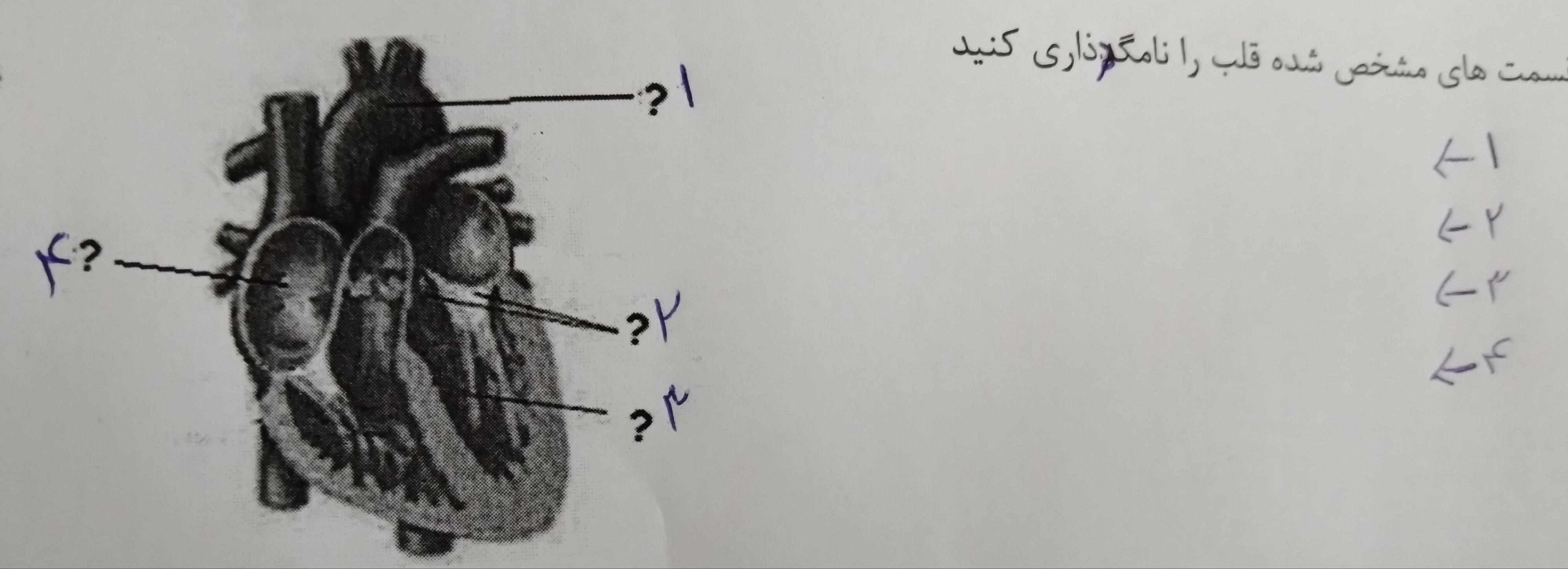 دریافت سوال 35