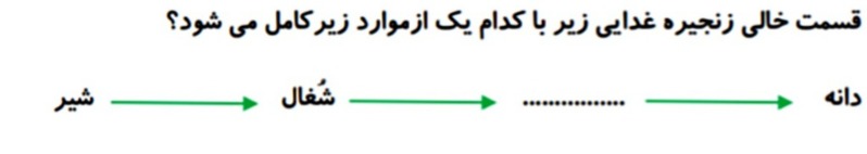 دریافت سوال 11