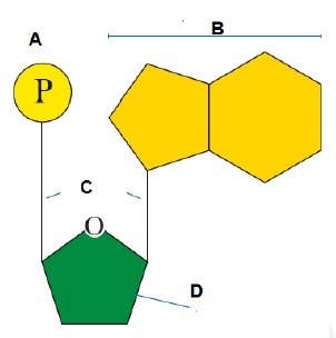 دریافت سوال 17