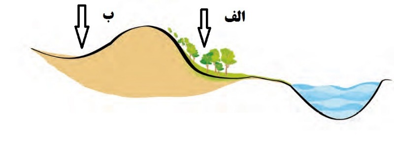 دریافت سوال 19