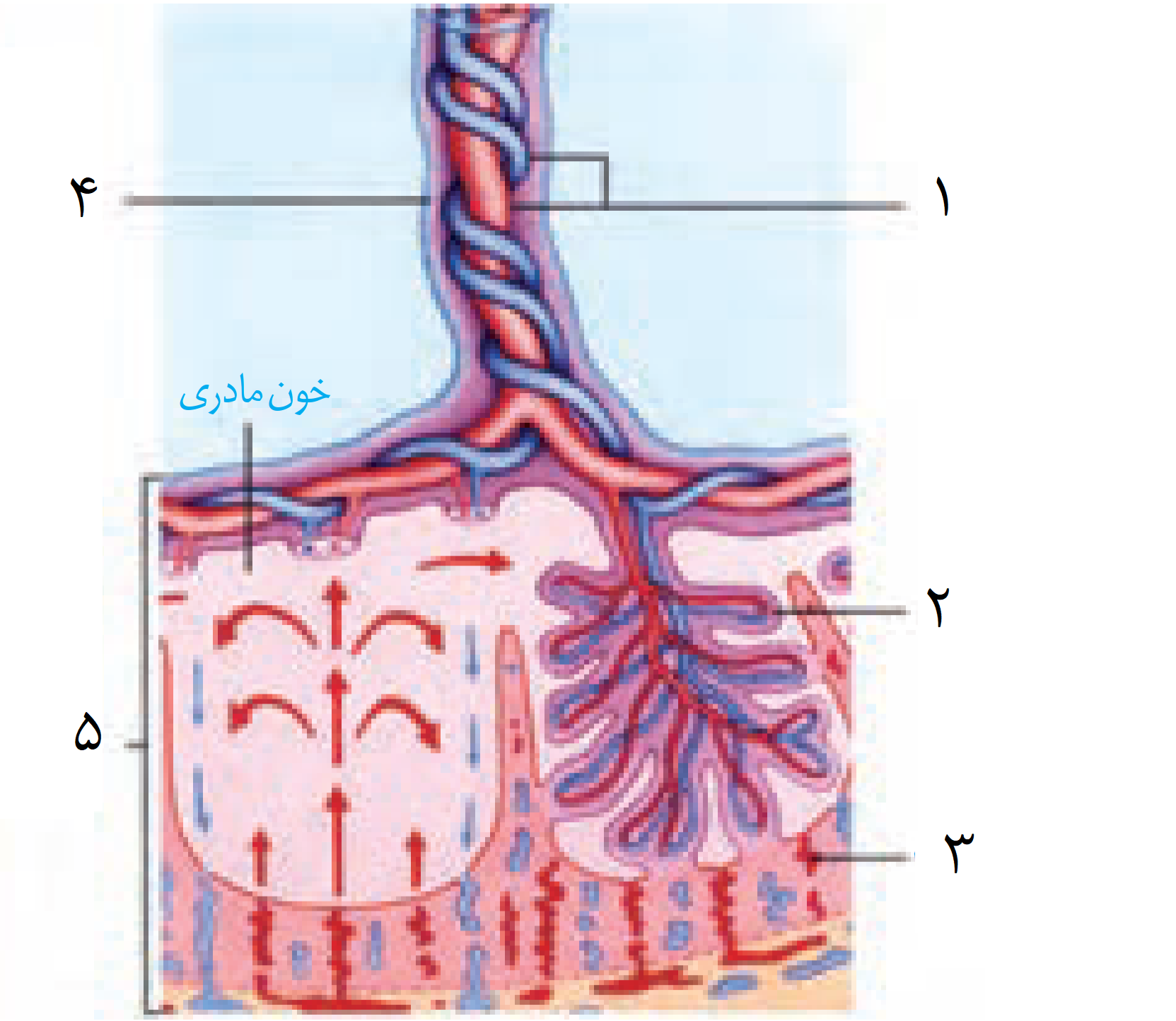 دریافت سوال 3