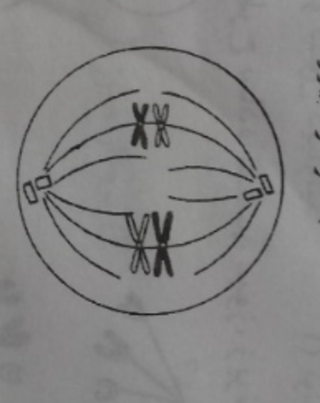 دریافت سوال 11