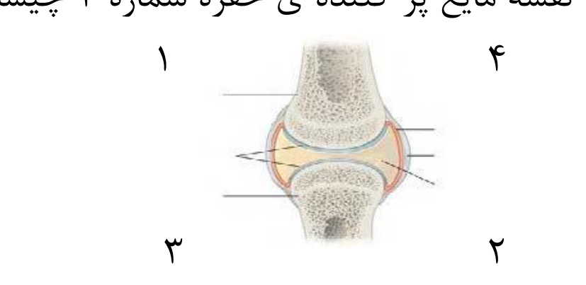 دریافت سوال 7