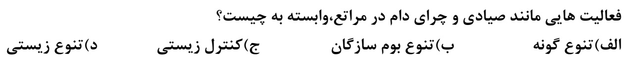 دریافت سوال 12