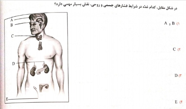 دریافت سوال 15