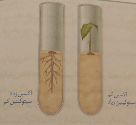 دریافت سوال 21