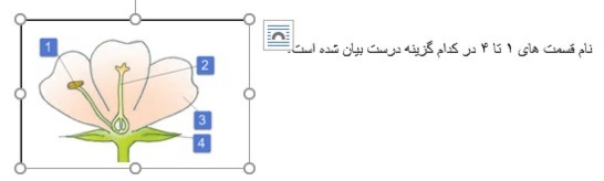 دریافت سوال 15