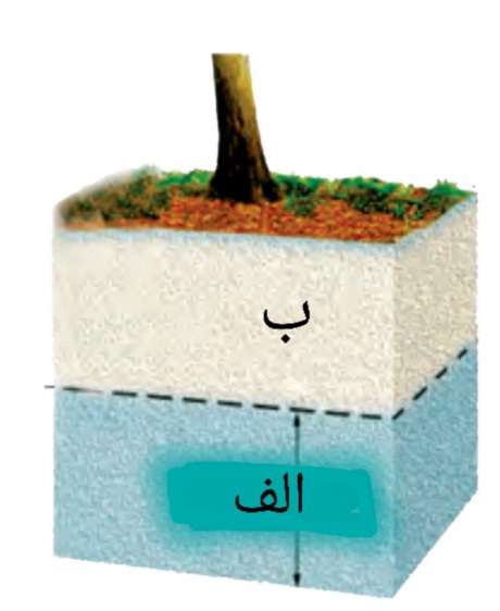 دریافت سوال 24