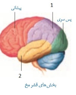 دریافت سوال 4