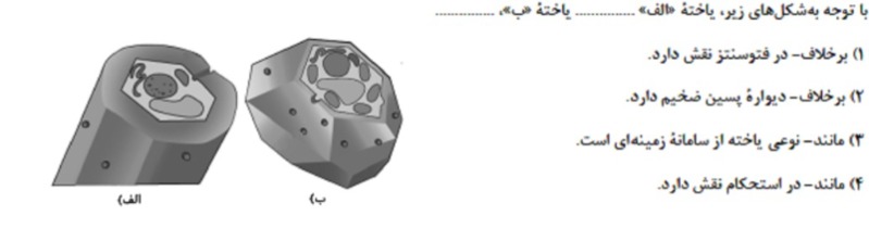 دریافت سوال 3