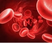 دریافت سوال 10