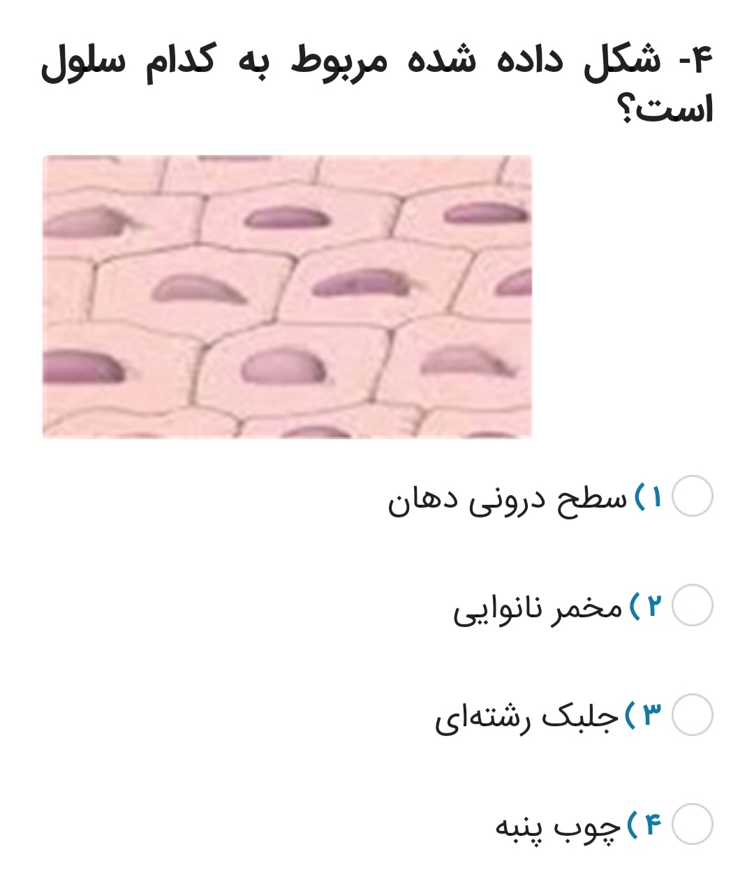 دریافت سوال 4