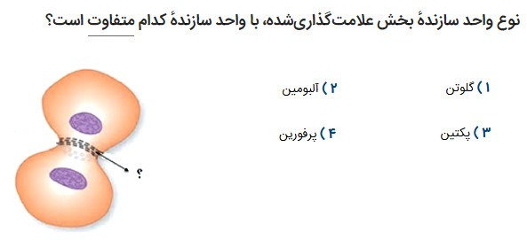 دریافت سوال 30