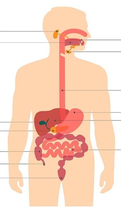 دریافت سوال 14
