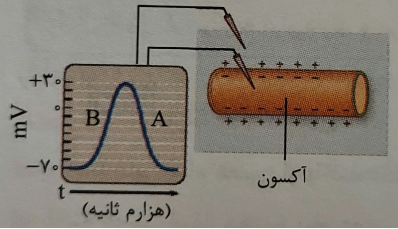 دریافت سوال 20