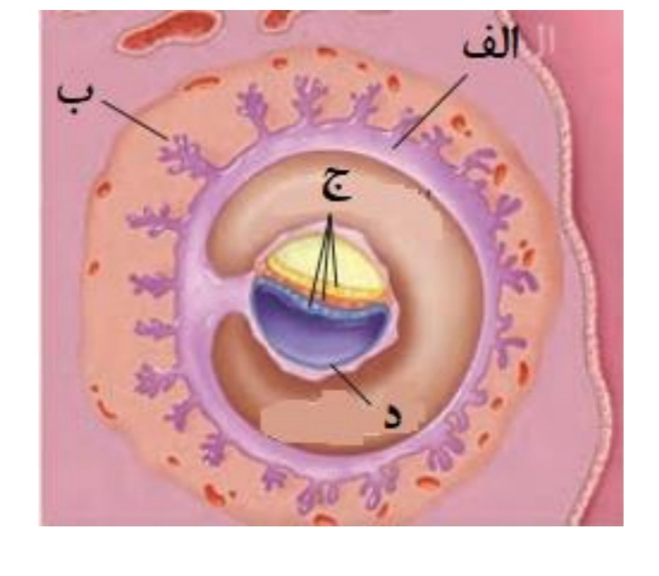 دریافت سوال 38