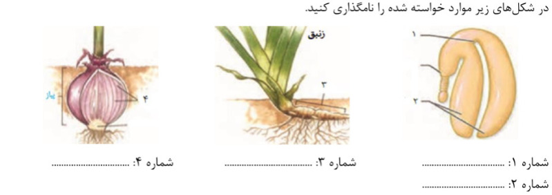 دریافت سوال 19