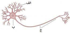 دریافت سوال 14