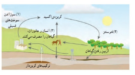 دریافت سوال 5