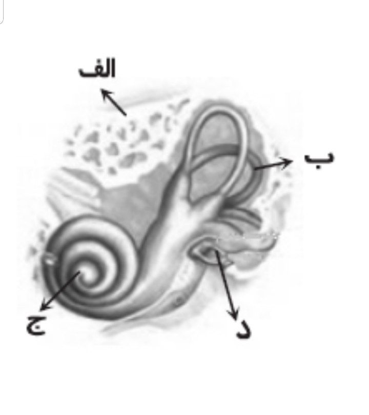 دریافت سوال 11