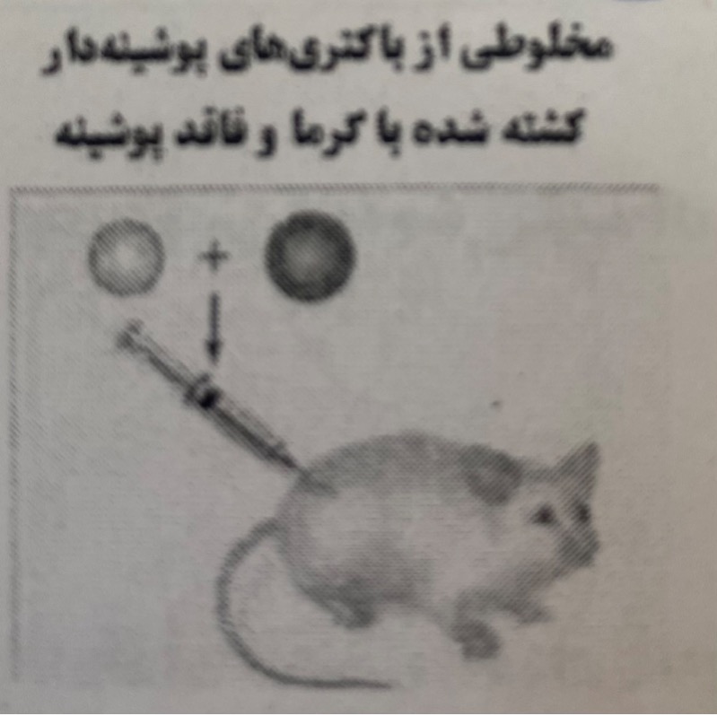 دریافت سوال 17