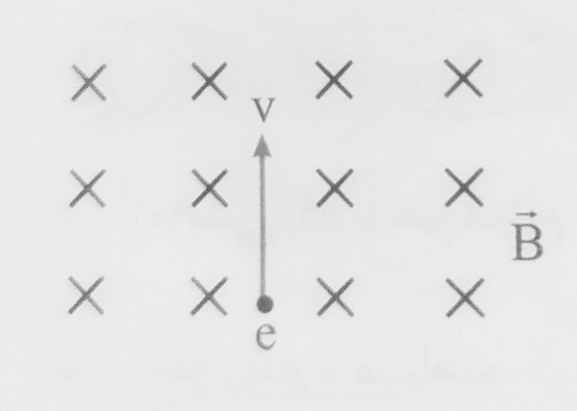 دریافت سوال 1