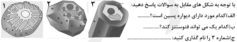 دریافت سوال 19