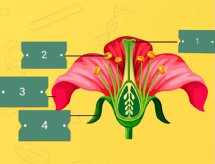 دریافت سوال 13