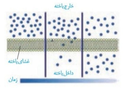 دریافت سوال 5