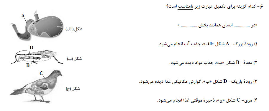 دریافت سوال 6