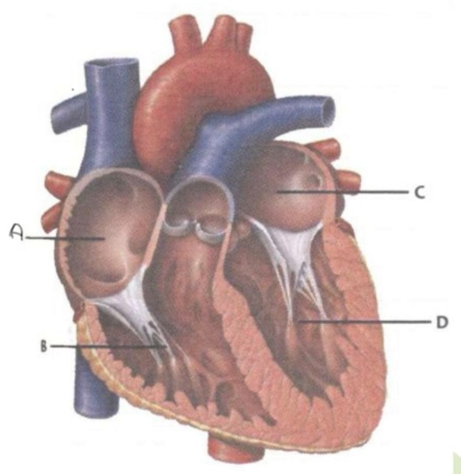 دریافت سوال 30