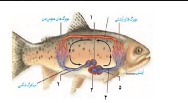 دریافت سوال 9