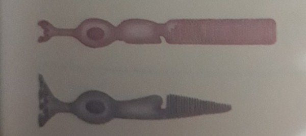 دریافت سوال 21