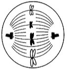 دریافت سوال 9