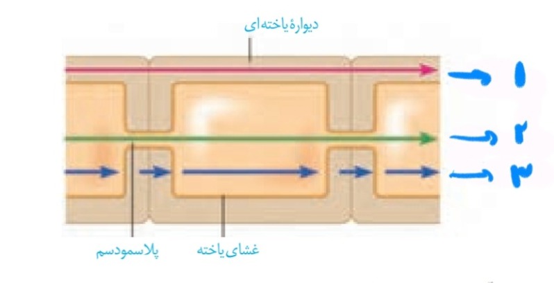 دریافت سوال 36