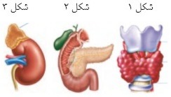 دریافت سوال 12