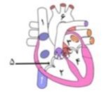 دریافت سوال 10