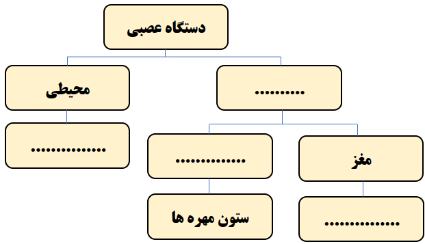 دریافت سوال 1