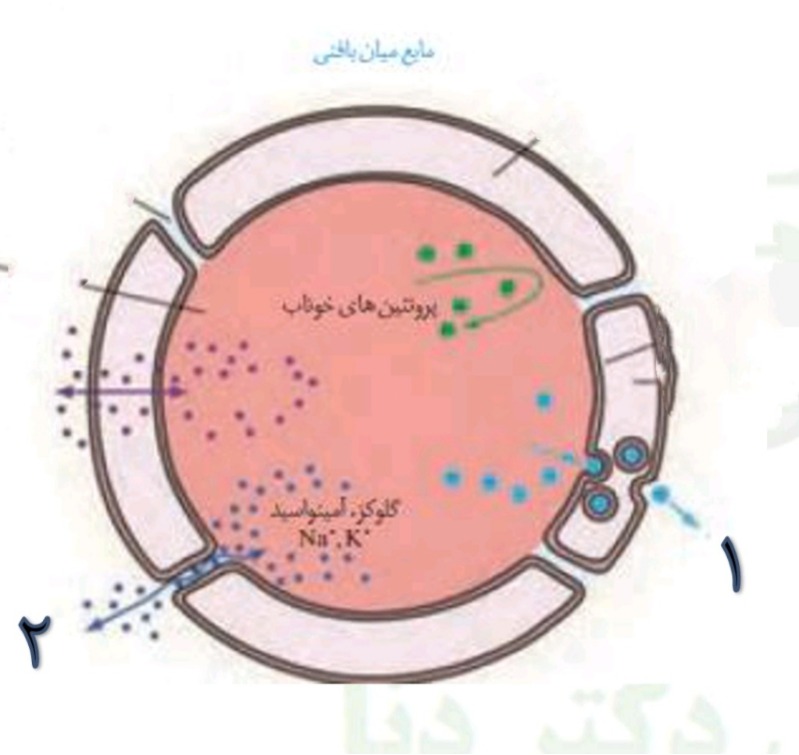 دریافت سوال 15