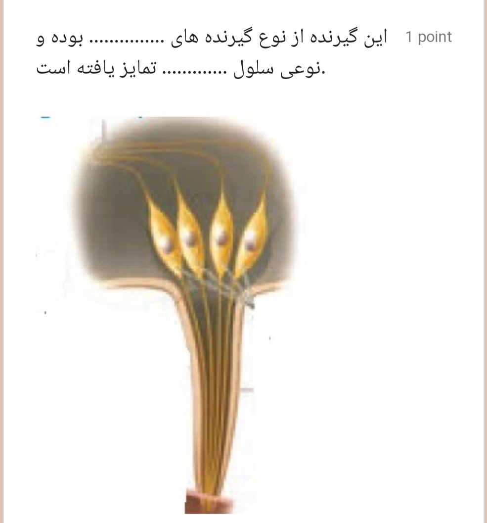 دریافت سوال 18