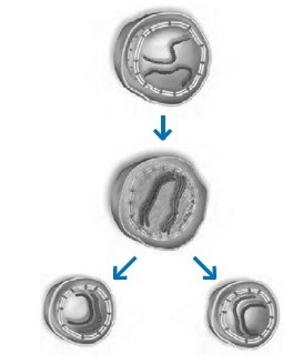 دریافت سوال 5