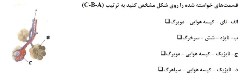 دریافت سوال 31