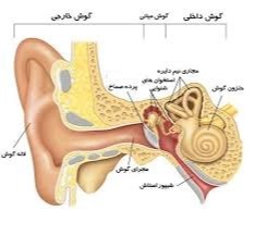 دریافت سوال 8