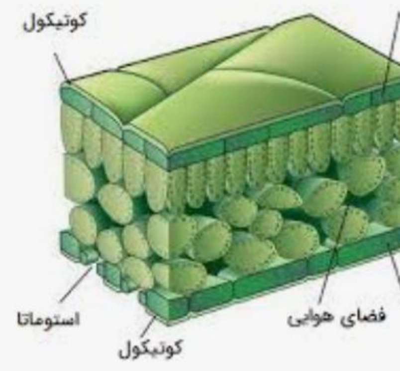 دریافت سوال 7