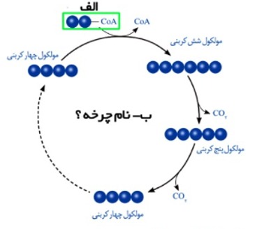 دریافت سوال 17